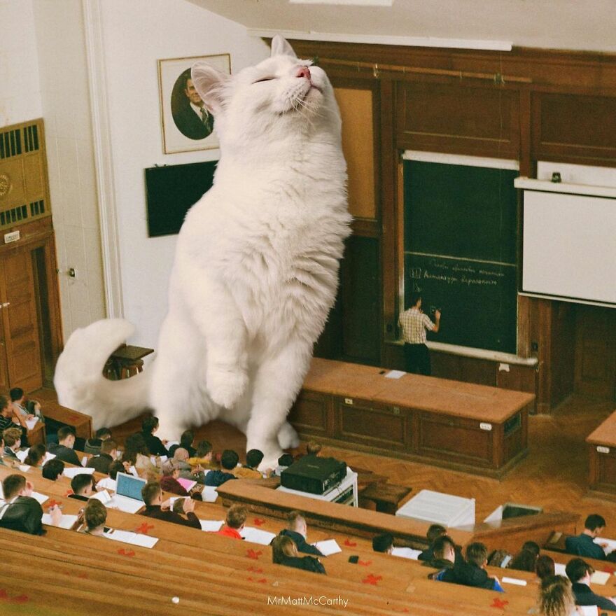 Artist Shows What It Would Be Like If The World Were Inhabited By Giant Cats (92 New Pics)