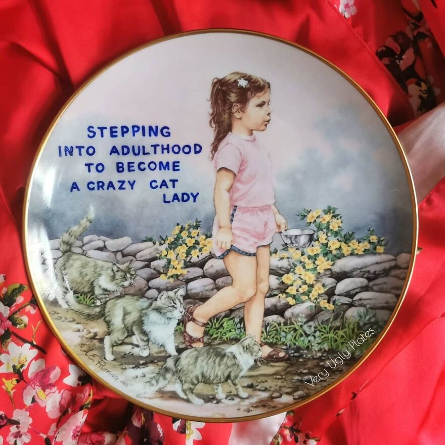 My 50 'Very Ugly Plates' With Dark Humor Captions
