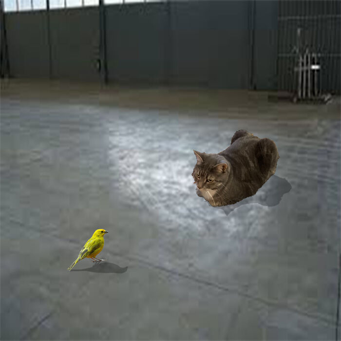 Cat Hunting Bird