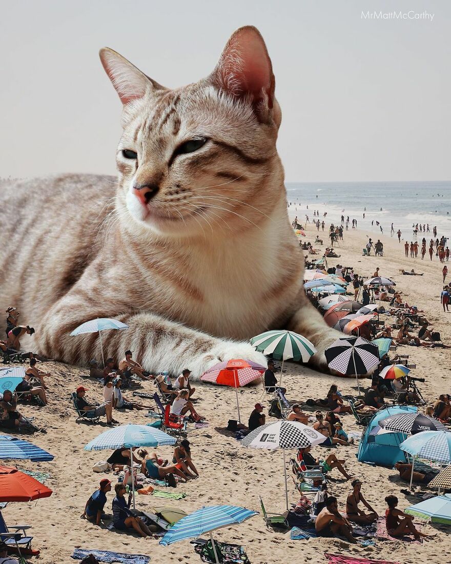 Artist Shows What It Would Be Like If The World Were Inhabited By Giant Cats (92 New Pics)