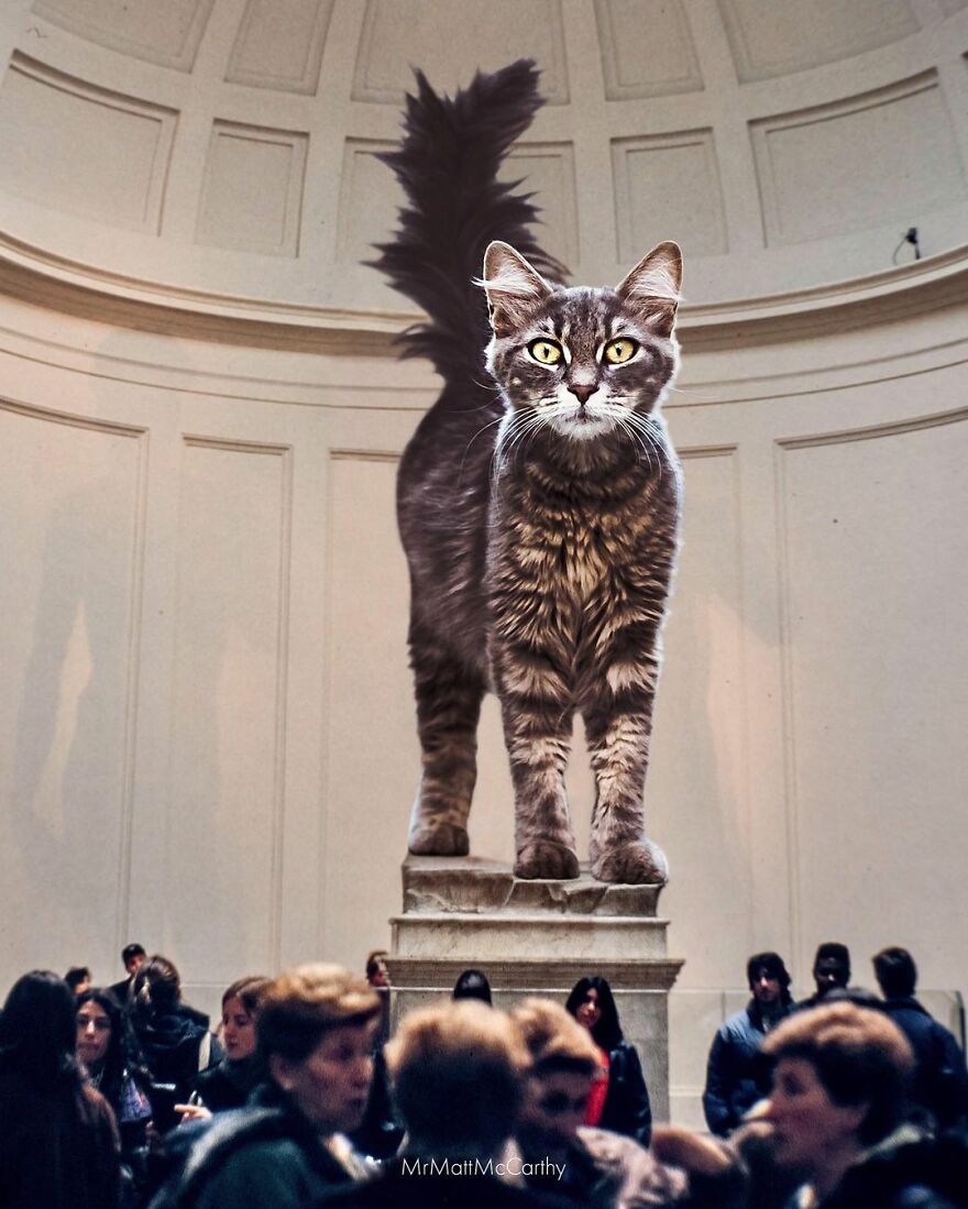 Artist Shows What It Would Be Like If The World Were Inhabited By Giant Cats (92 New Pics)