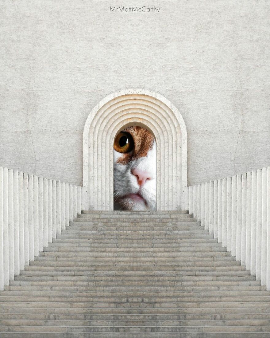 Artist Shows What It Would Be Like If The World Were Inhabited By Giant Cats (92 New Pics)