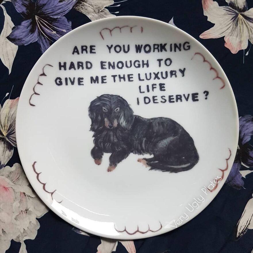 My 50 'Very Ugly Plates' With Dark Humor Captions