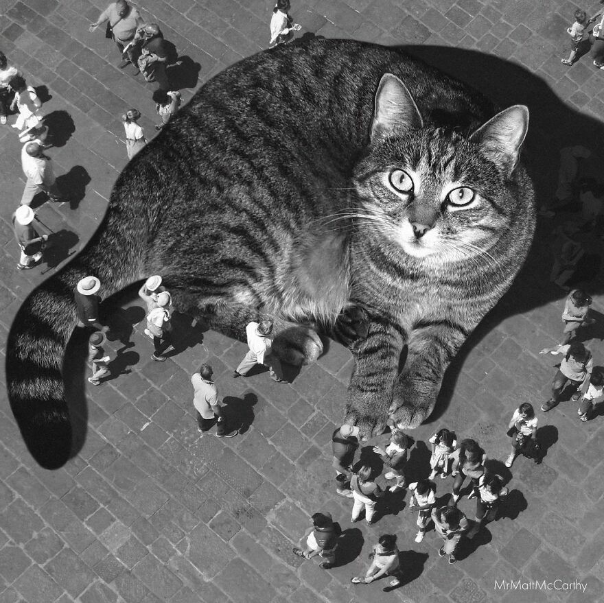 Artist Shows What It Would Be Like If The World Were Inhabited By Giant Cats (92 New Pics)