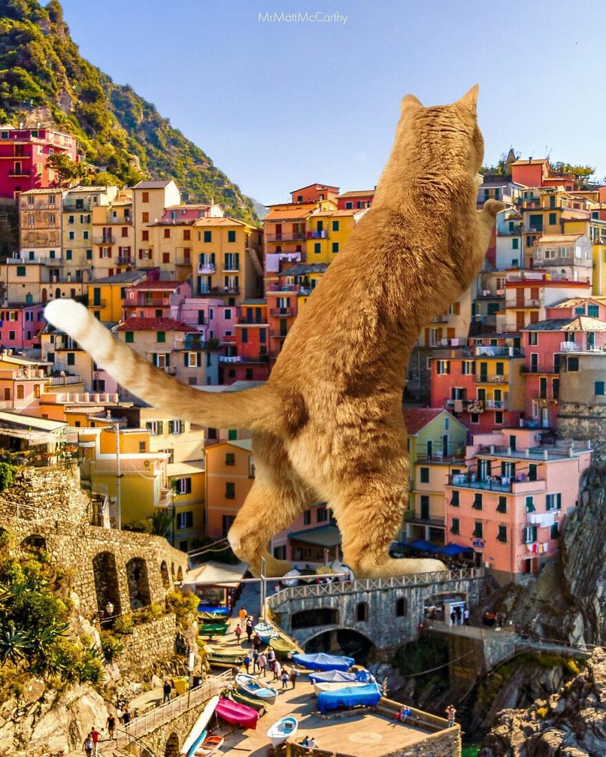 Artist Shows What It Would Be Like If The World Were Inhabited By Giant Cats (92 New Pics)