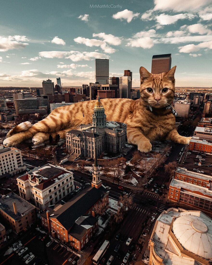 Artist Shows What It Would Be Like If The World Were Inhabited By Giant Cats (92 New Pics)