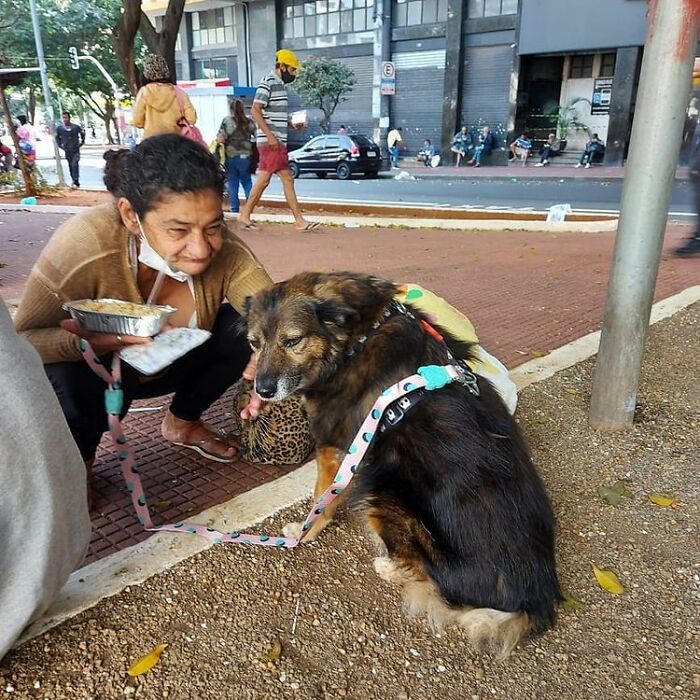 Account On Instagram Shows The Friendship Between Brazilian Homeless People And Their Dogs (183 Pics)