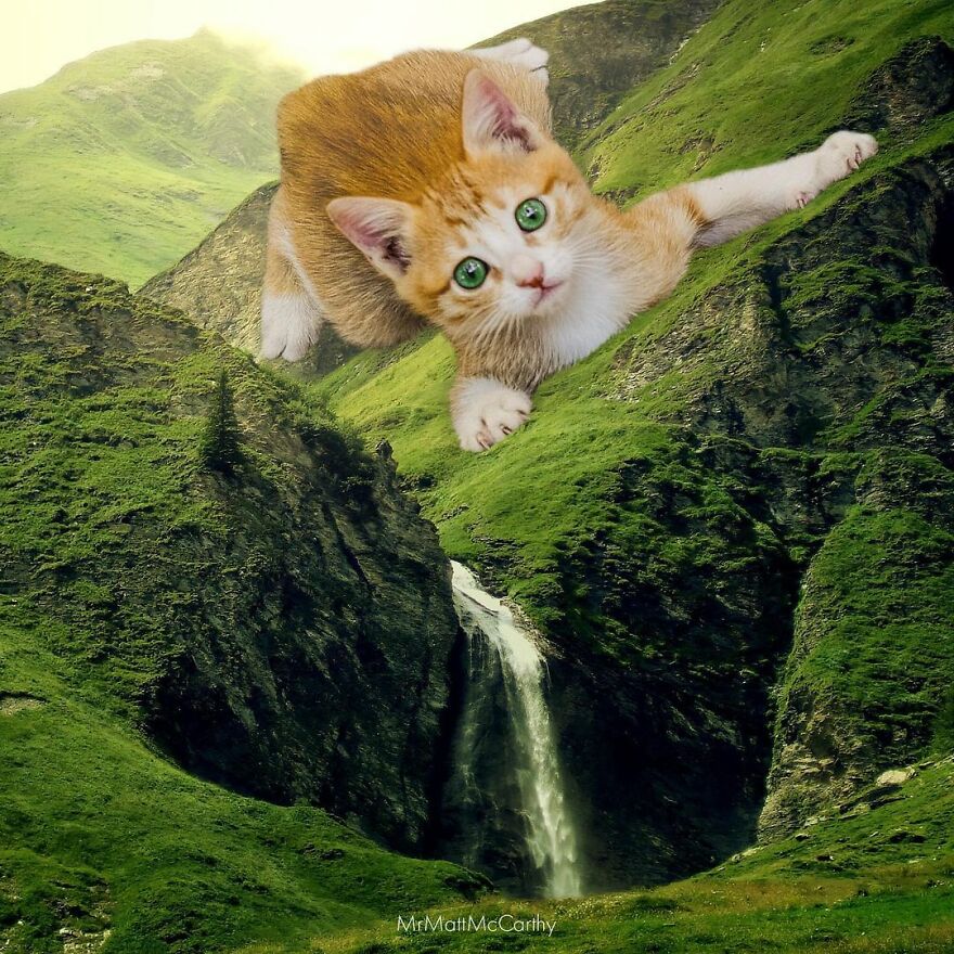 Artist Shows What It Would Be Like If The World Were Inhabited By Giant Cats (92 New Pics)