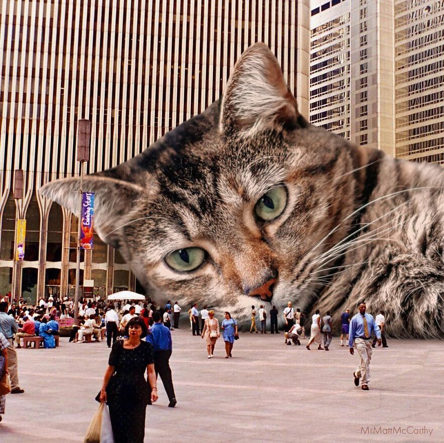 Artist Shows What It Would Be Like If The World Were Inhabited By Giant Cats (92 New Pics)