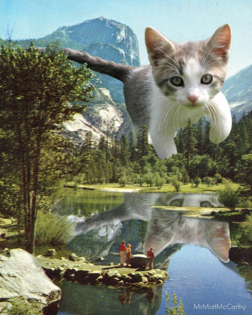 Artist Shows What It Would Be Like If The World Were Inhabited By Giant Cats (92 New Pics)