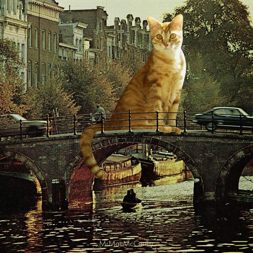 Artist Shows What It Would Be Like If The World Were Inhabited By Giant Cats (92 New Pics)
