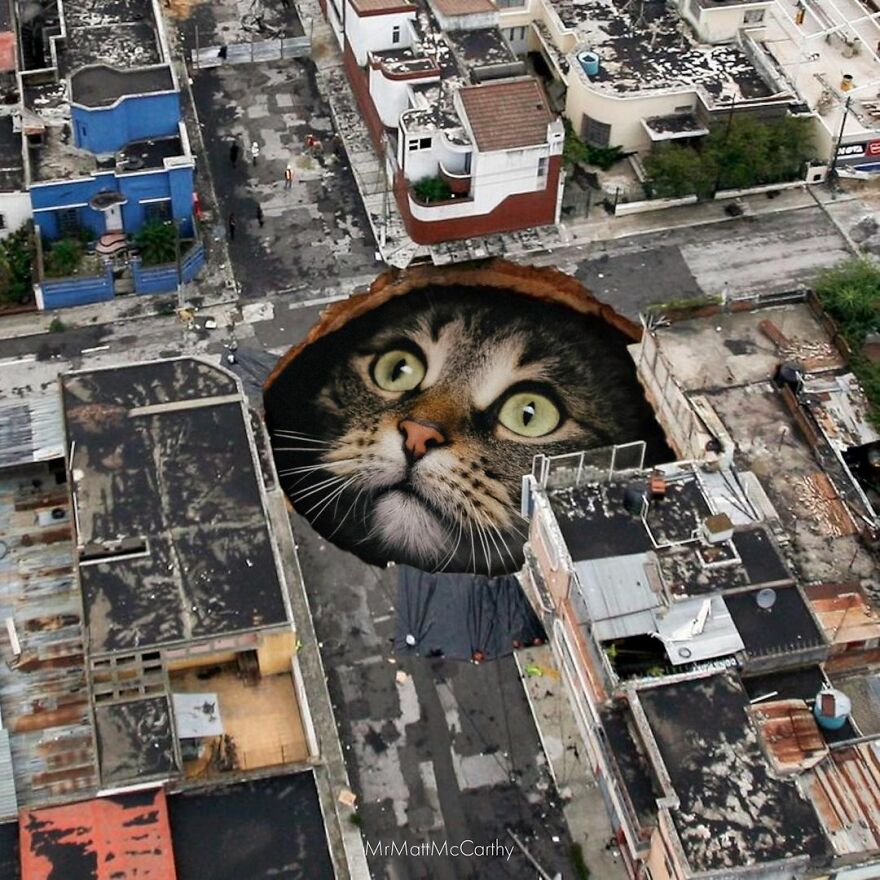Artist Shows What It Would Be Like If The World Were Inhabited By Giant Cats (92 New Pics)