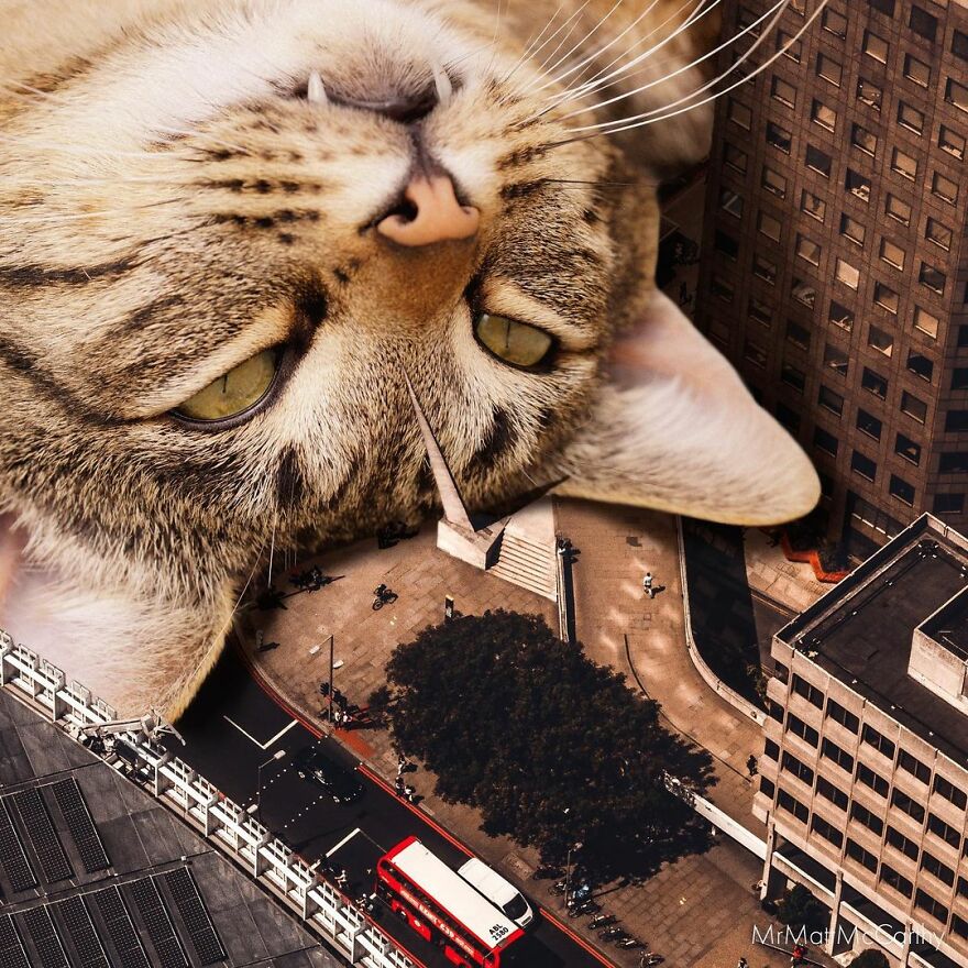 Artist Shows What It Would Be Like If The World Were Inhabited By Giant Cats (92 New Pics)