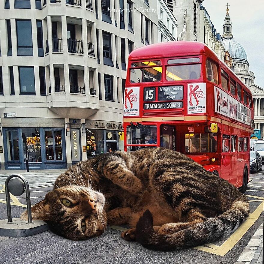 Artist Shows What It Would Be Like If The World Were Inhabited By Giant Cats (92 New Pics)