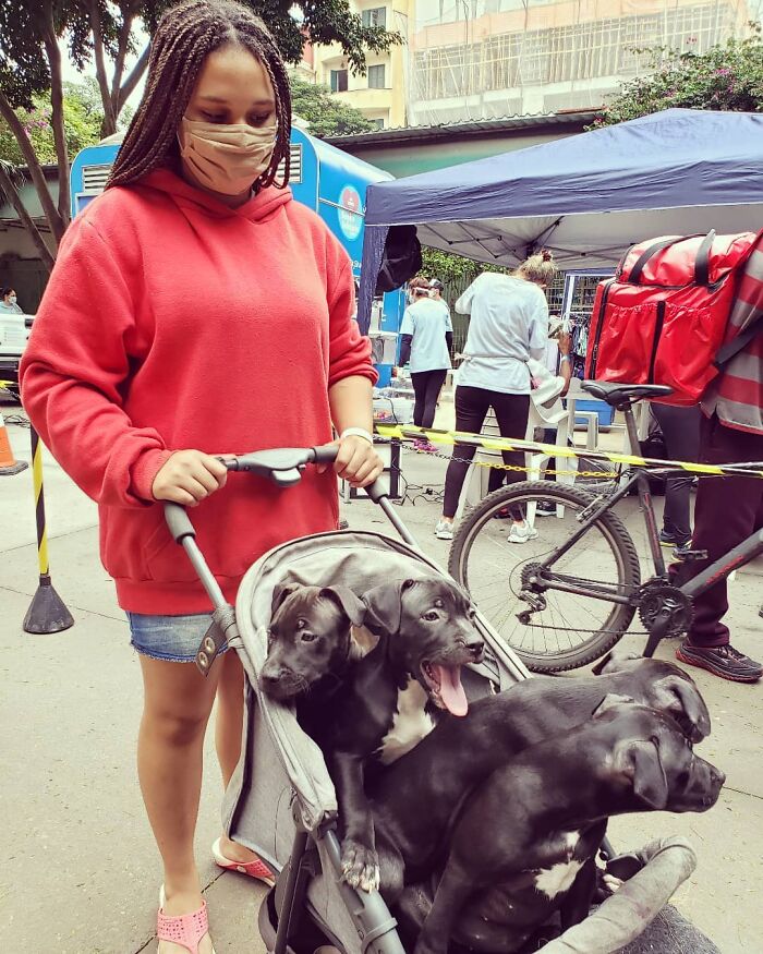 Account On Instagram Shows The Friendship Between Brazilian Homeless People And Their Dogs (183 Pics)