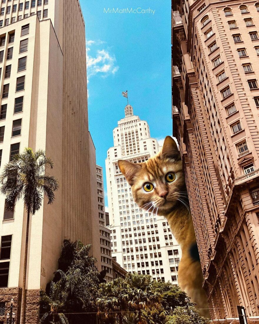 Artist Shows What It Would Be Like If The World Were Inhabited By Giant Cats (92 New Pics)