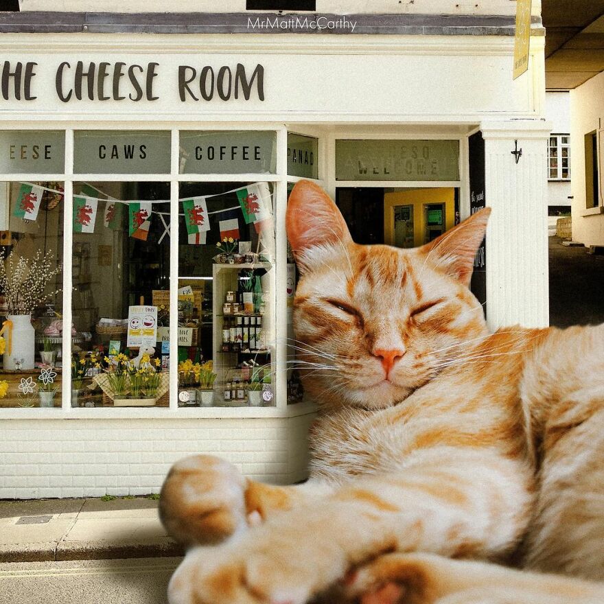 Artist Shows What It Would Be Like If The World Were Inhabited By Giant Cats (92 New Pics)