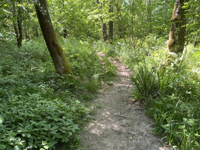 My Favourite Place In Summer When Everythings Lovely And Green 🌳🌱🌿
