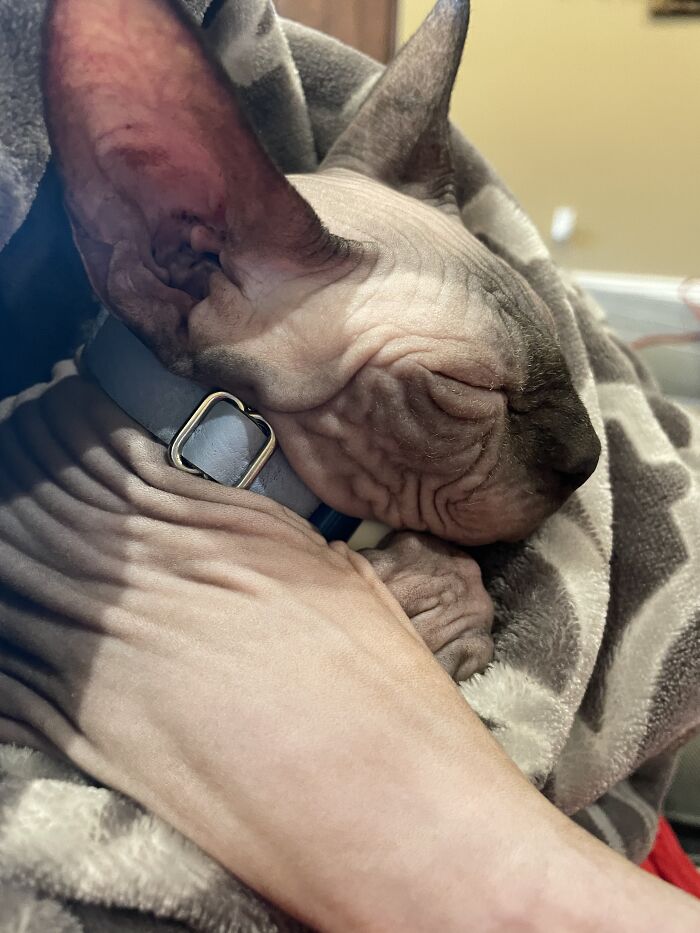 This Naked Baby Loves Extra Cuddles In Fall!