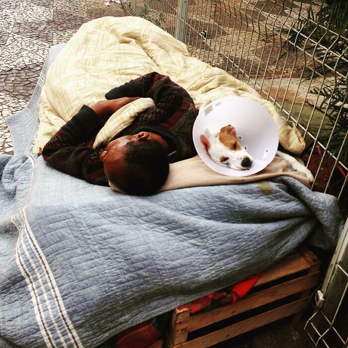 Account On Instagram Shows The Friendship Between Brazilian Homeless People And Their Dogs (183 Pics)