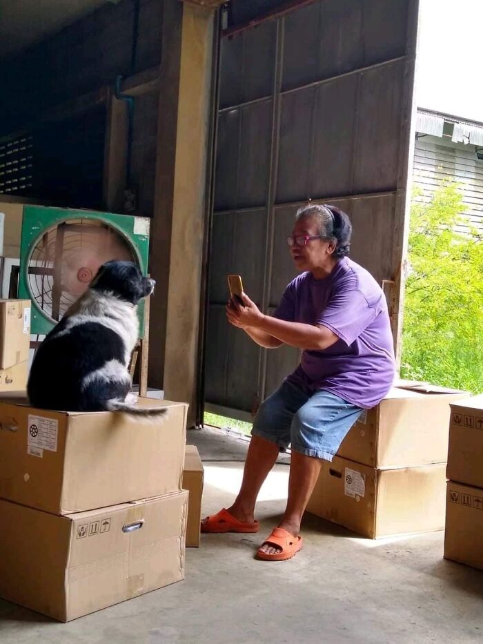 Important-Animals-Funny-Images