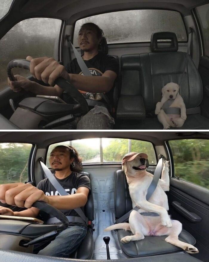 This Facebook Page Is All About Animal Images That Need To Be Seen (50 New Pics)