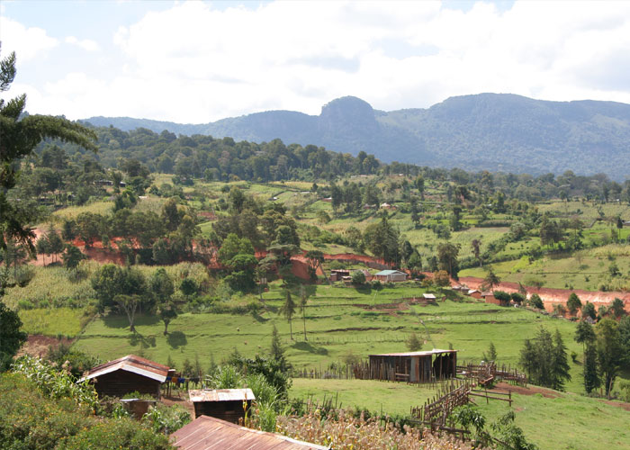 35 People Share Things They Are Really Suspicious Of But Can't Actually Prove