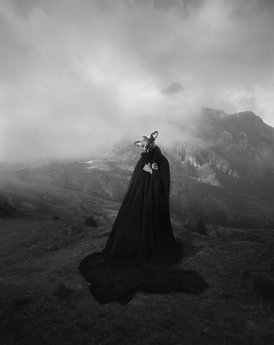 What Makes A Photographer: 8 Visual Artists On Their Path To Becoming A Photographer