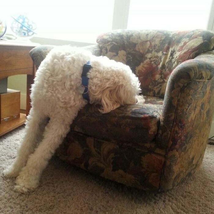 Why? Is That Actually Comfortable?