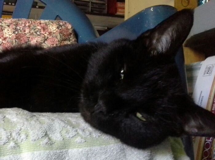 Good Morning, Bubba.