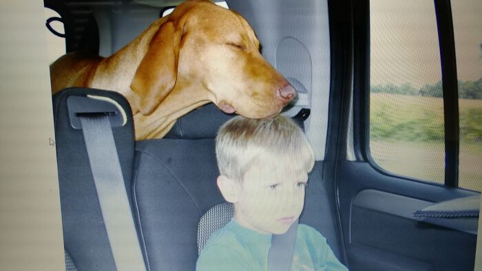 Otto Seems To Be Meditating. Or Maybe He's Drooling Onto My Son's Hair. Not Sure Which.