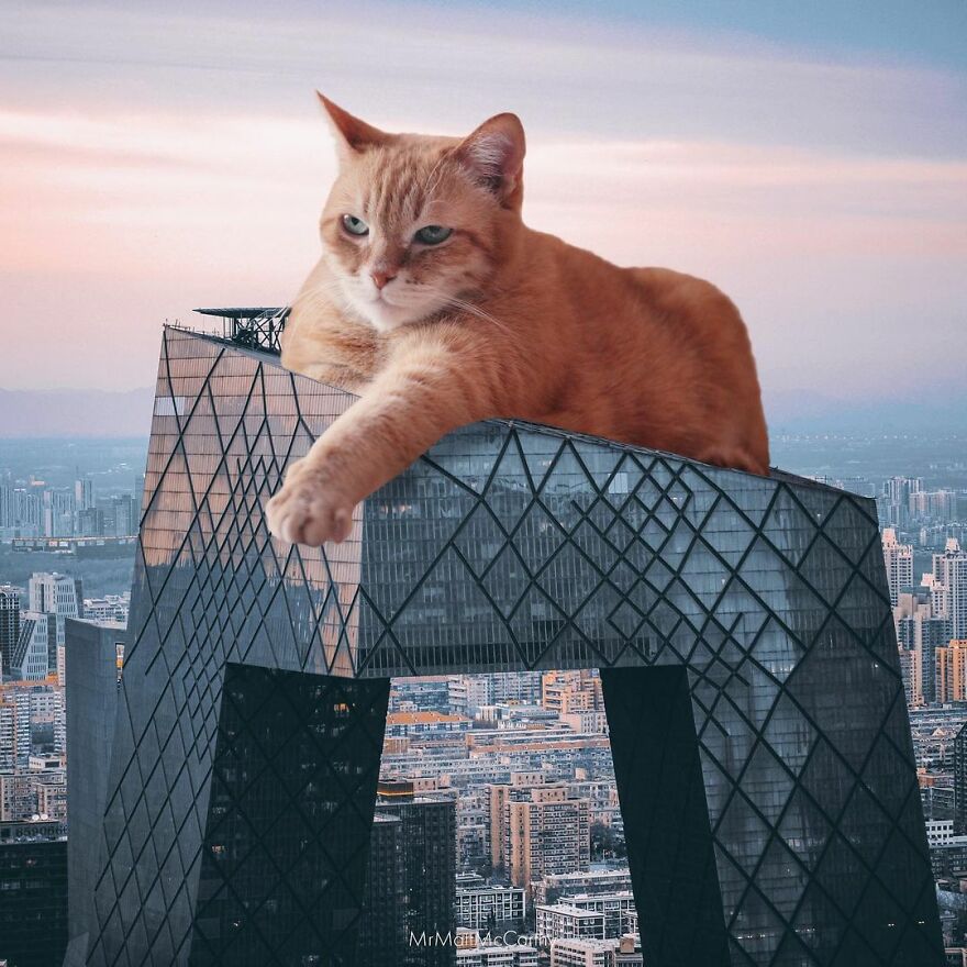 Artist Shows What It Would Be Like If The World Were Inhabited By Giant Cats (92 New Pics)