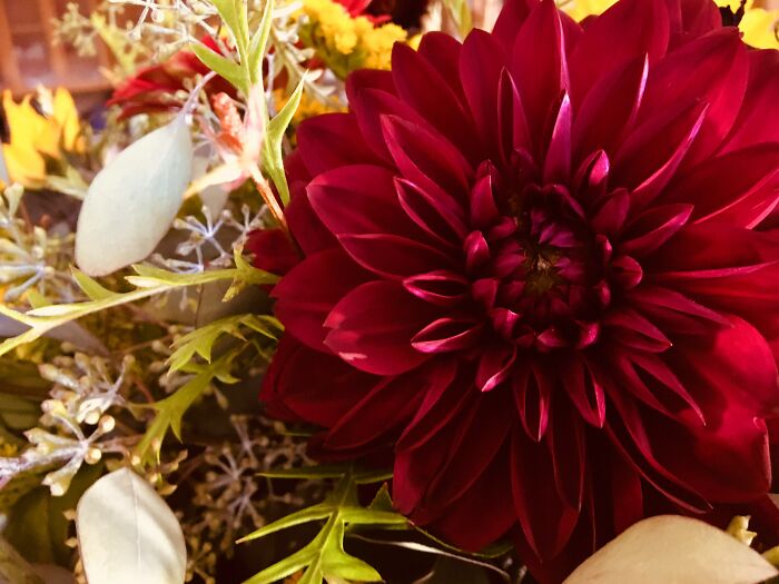 I Also Love This Flower Pic