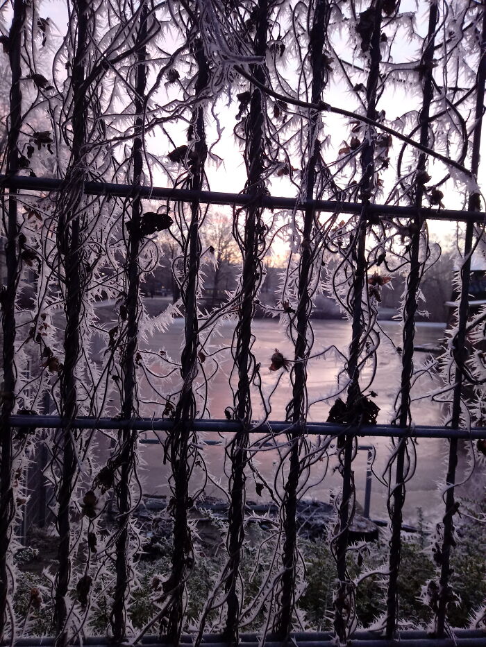 Snapped This On My Way To School One Day