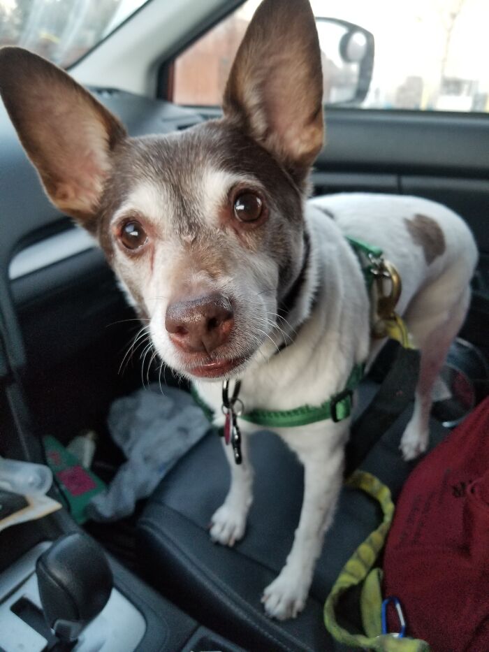 Did You Know This Was The Vets Office?