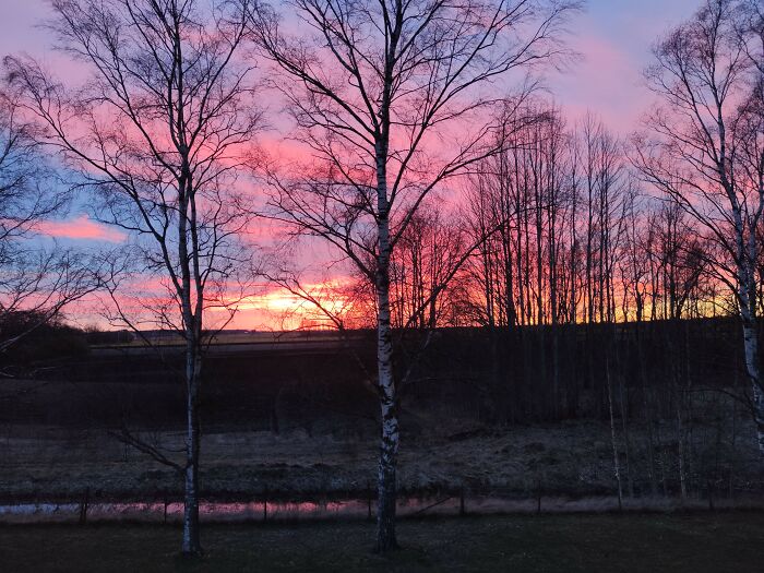 View From The Balcony In The Evening. Odensbacken, Sweden