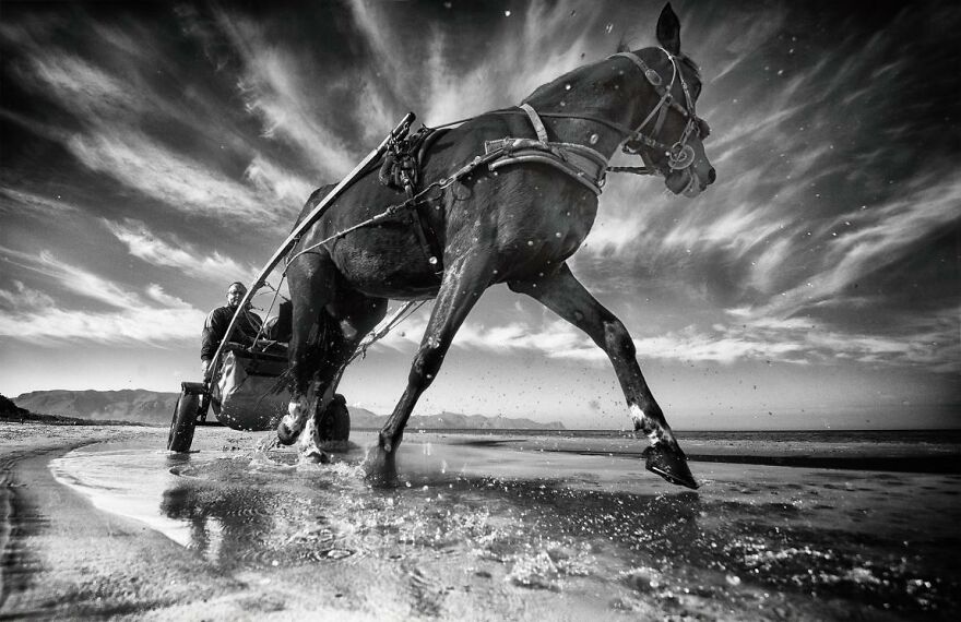 Cavallo Della Domenica By Giovanni Cassarà