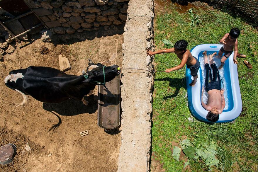 Untitled By Eshagh Aghaeimansourabad