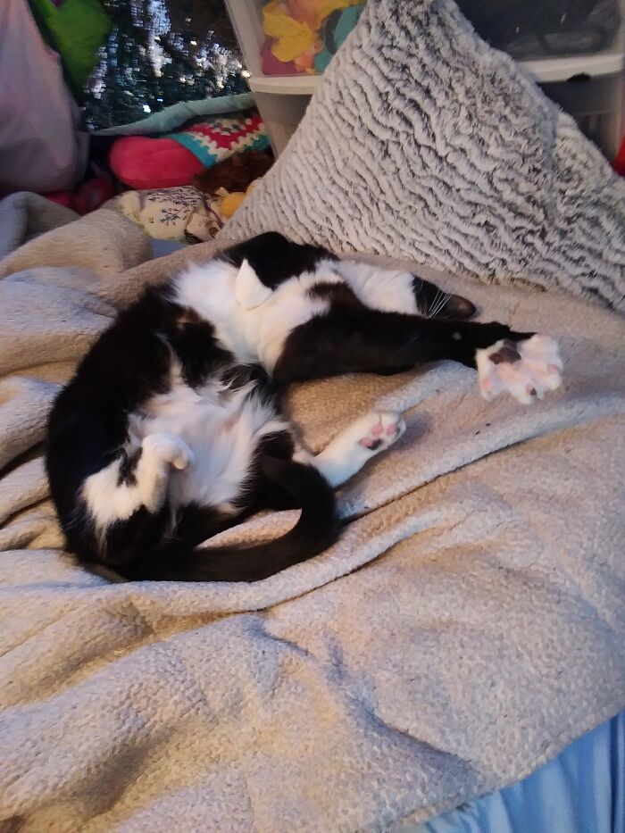 Streeeeeeeach Those Beans!!!