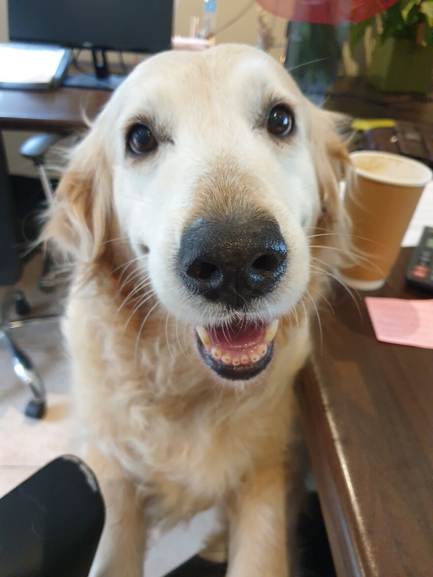 Mommy Needs A Brak And Must Come Play