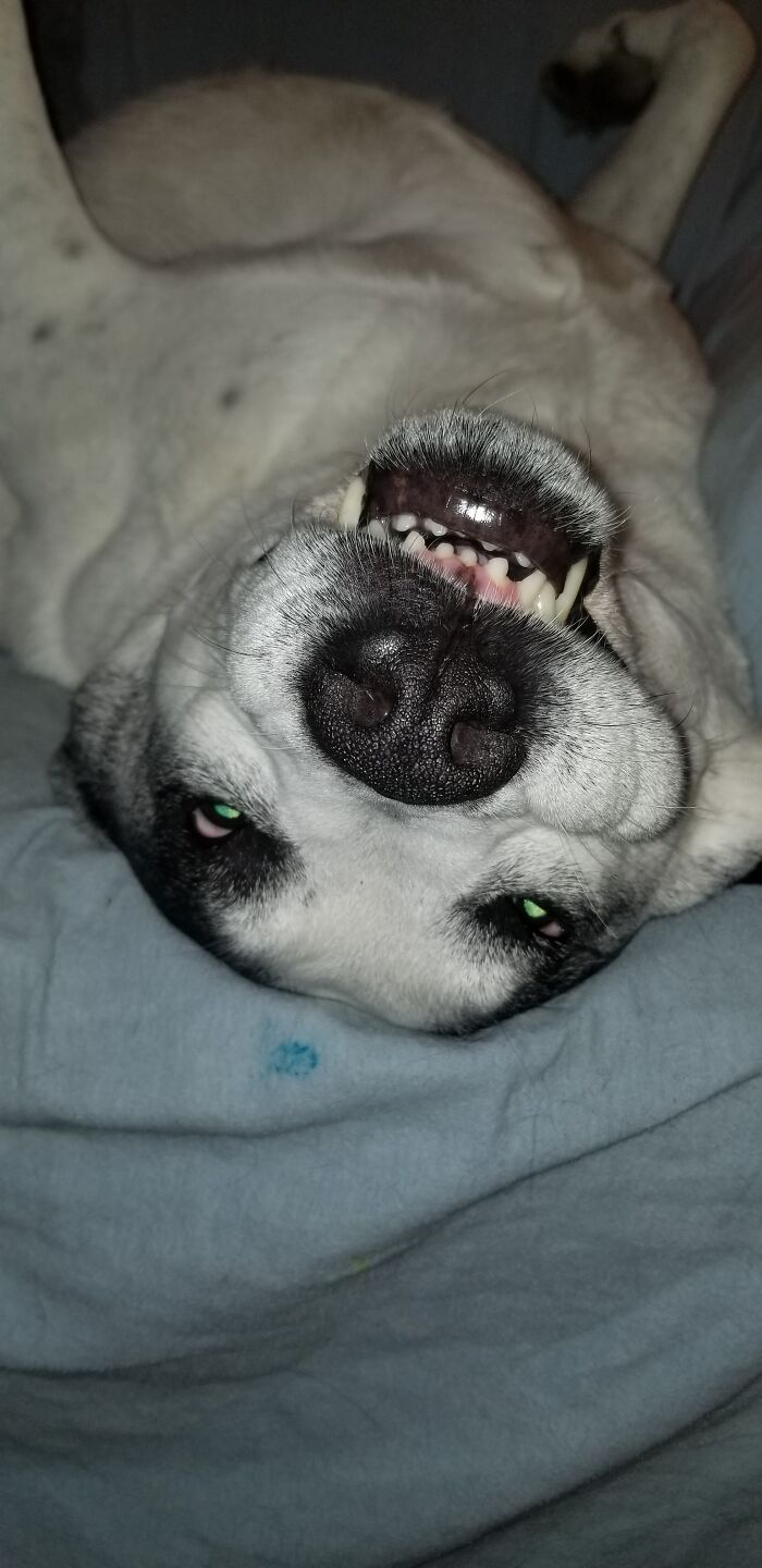 Wha? What Blue Raspberry Candy Are You Referencing?