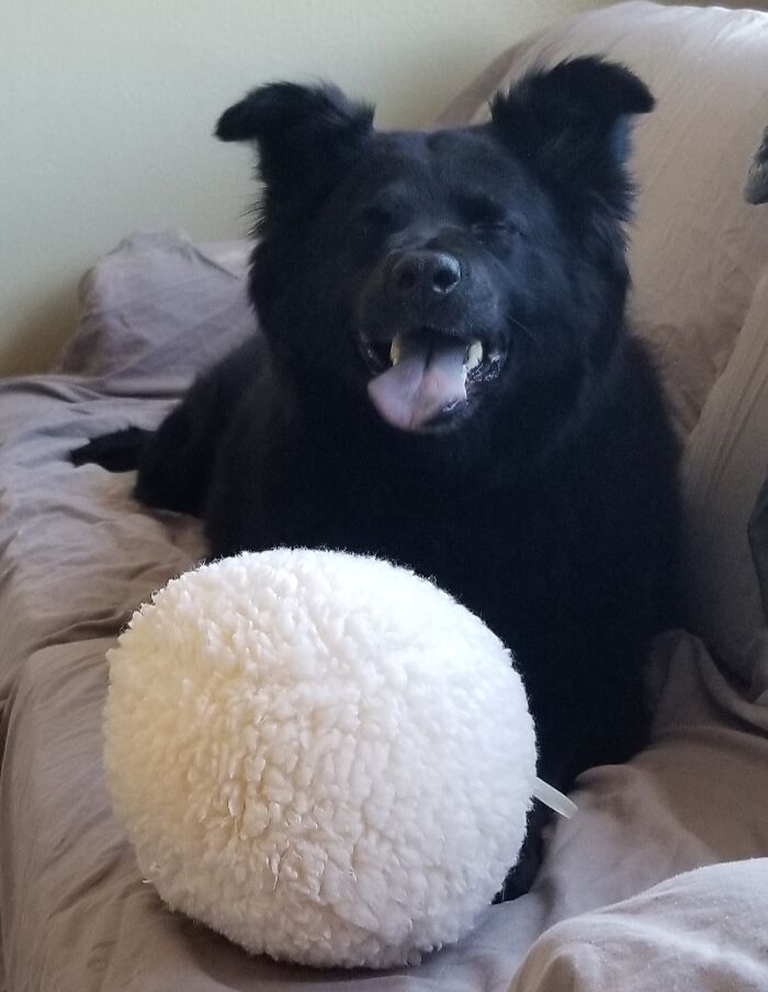 Whoa, Toys Make Me Feel So Good