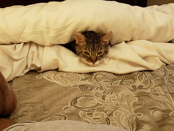 Cloud Comforters Are Made For Moments Like This