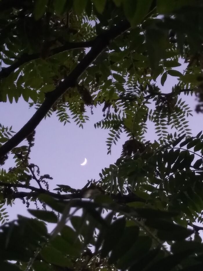 After A Bad Shift At Work I Stopped To Admire The Moon