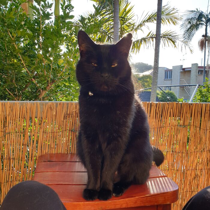 I Want Second Breakfast!