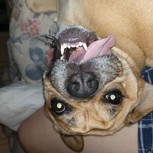 erikasinclairkauffmann avatar