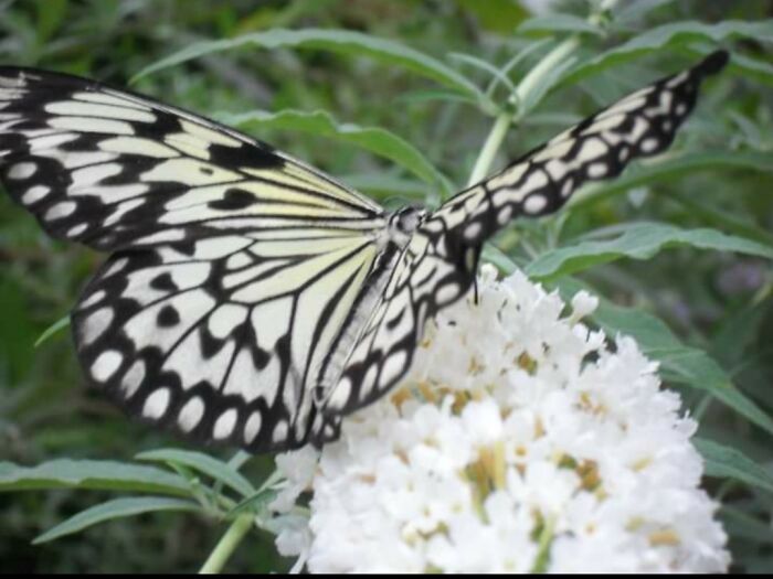 One Of The First Pictures I Took On A Digital Camera When I Was 21. All Down Hill From There.