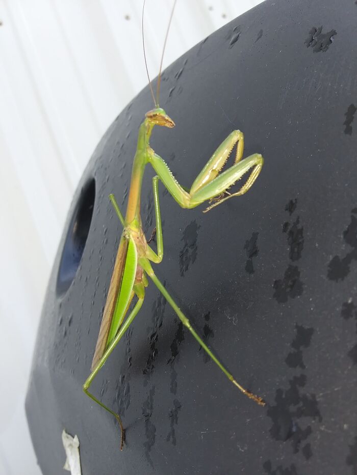 She Came To Visit Me At Work....