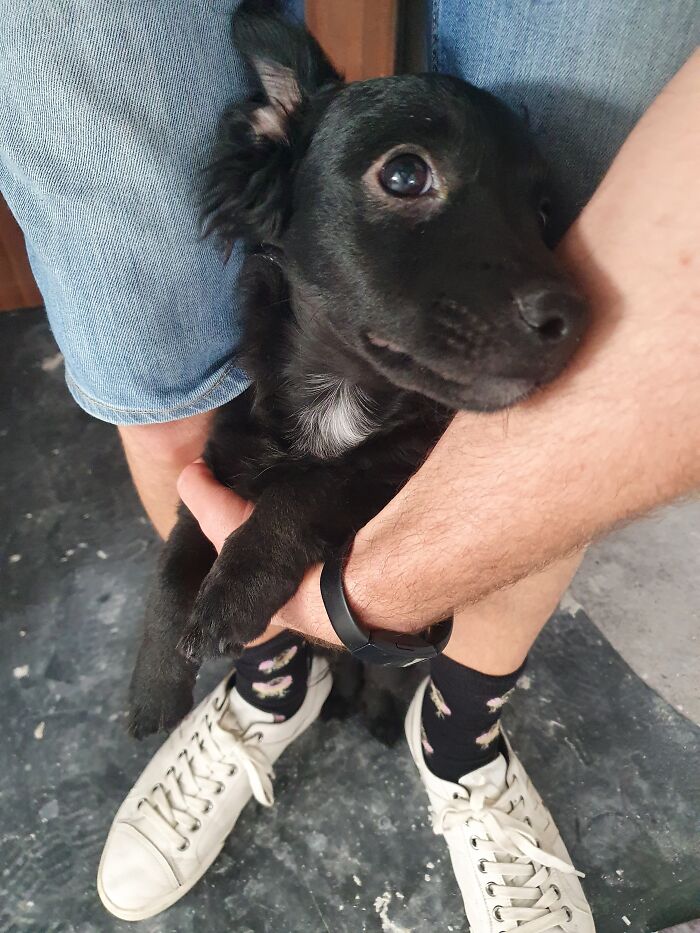 He Is Less Then A Year