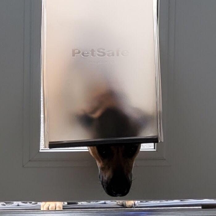 Stares Relentlessly Until I Crumble And Come Outside..